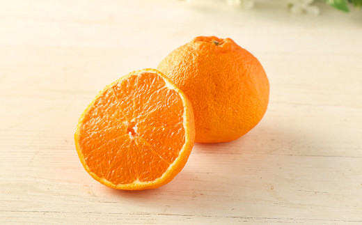 熊本県産 旬の 柑橘 詰め合わせ 3種以上 3kg以上 甘夏 河内晩柑 パール柑 ネーブル 不知火※画像はイメージです