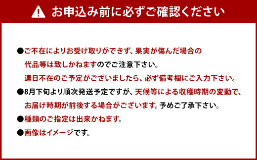 【2023年8月下旬より発送】熊本県産 シャインマスカット 1房×梨 3玉 合計3kg以上 詰め合せ セット 豊水 新高 新興