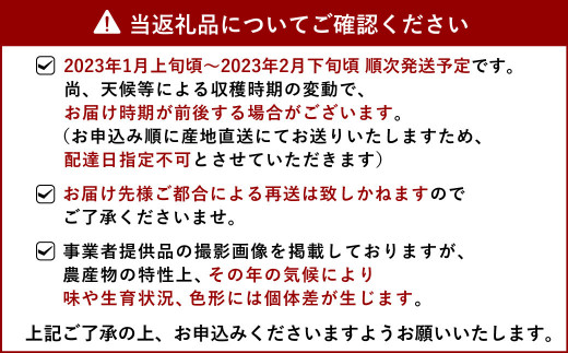 【2023年1月上旬～順次発送予定】宇城市産 温州みかん 約10kg（約5kg×2ケース）柑橘 果物