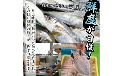 ＜定期便・全6回＞【訳あり】鹿児島県産干物！あくねの地魚づくし＜5種＞国産 魚介 きびなご 鯵 あじ 鯖 さば ひもの いわしフライ  詰め合わせ【又間水産】56-1