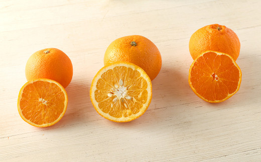 熊本県産 旬の 柑橘 詰め合わせ 3種以上 3kg以上 甘夏 河内晩柑 パール柑 ネーブル 不知火※画像はイメージです