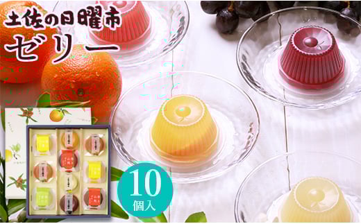 菓舗 浜幸　土佐の日曜市ゼリー(７種) 10個入り　A-385