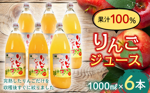 果汁100% りんごジュース (1000ml瓶×３本) 【森の菜園】 青森りんご 