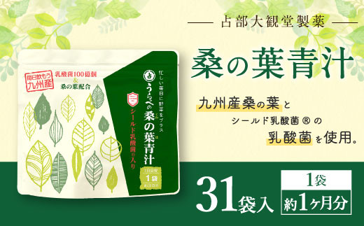 九州産 桑の葉 & シールド乳酸菌(R) 使用 桑の葉 青汁 31袋 249994 - 福岡県直方市