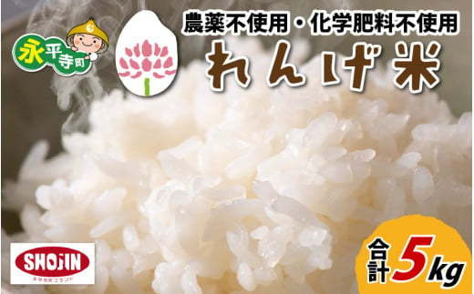 令和6年産 農薬不使用・化学肥料不使用 永平寺町産 れんげ米 5kg [B-002026] / 白米 米 5キロ お米 コシヒカリ こしひかり 精米 福井 [202411_リピーター]米