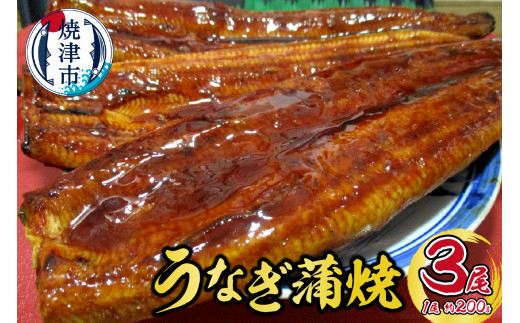 ふるさと納税 焼津市 【定期便3回】ウナギ蒲焼き(約160g×5尾)(b10-043