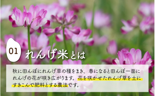 農薬不使用・化学肥料不使用 永平寺町産 れんげ米 20kg（5kg×4袋）[E-002011]