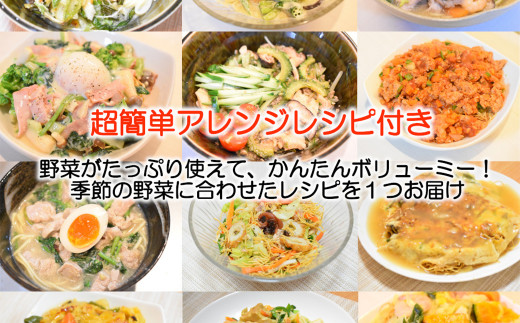 本場！長崎中華麺の食べ比べ 8人前と新鮮具材セット 野菜10品目 ブランド卵付き