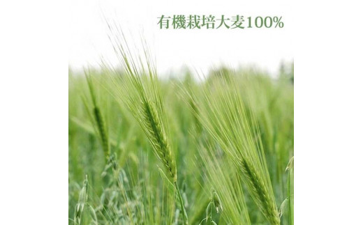 有機栽培大麦を100％使用しています