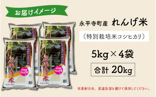 農薬不使用・化学肥料不使用 永平寺町産 れんげ米 20kg（5kg×4袋）[E-002011]