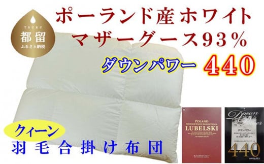 【合掛け布団】ポーランド産マザーグース93％ 羽毛合掛け布団（クイーン：220cm×210cm）（ダウンパワー440）【サカキュー】｜羽毛布団 羽毛ふとん 羽毛掛けふとん 合い掛け布団 合い掛けふとん