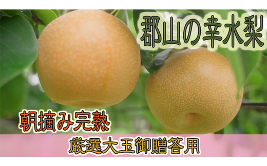 [№5902-0434]朝摘み完熟梨（幸水）大玉4.5kg超　2022年9月1日より発送