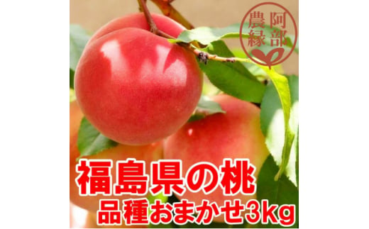 阿部農縁　福島県の桃　農家直送の完熟もも　品種おまかせ3kg(8～12玉)　ギフト・贈答用【1293383】