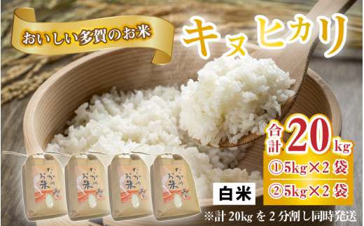 【令和5年産】キヌヒカリ20kg おいしい多賀のお米 [C-00401]