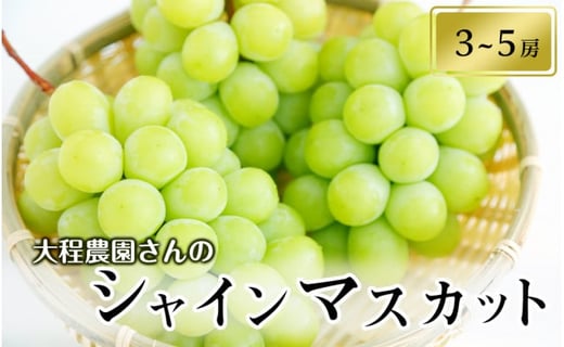 大程農園のシャインマスカット【約2kg 3～5房入り】 - 愛媛県内子町｜ふるさとチョイス - ふるさと納税サイト