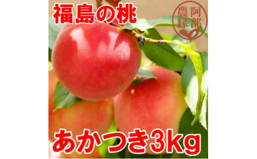 阿部農縁　福島の桃　あかつき3kg(8～1
