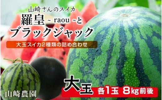 ③愛知県・その様専用 羅皇 8キロ～ cutacut.com