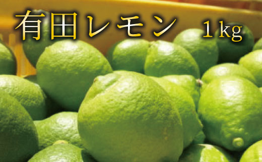 【国産】紀州和歌山　有田レモン 約1kg ※北海道・沖縄・離島配送不可