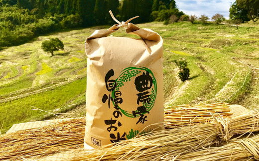 鴨川市の長狭平野で育てたお米は『長狭米』と呼ばれ人気を集めています。