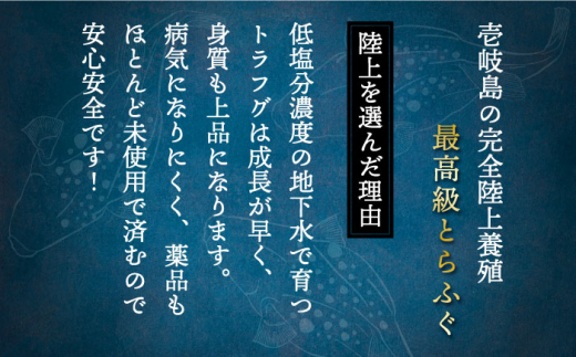 【全3回定期便】とらふぐ刺し＆ふぐ鍋セット （2人前） ふぐ 刺身 てっさ ふぐ鍋 [JDT030] 57000 57000円|株式会社なかはら