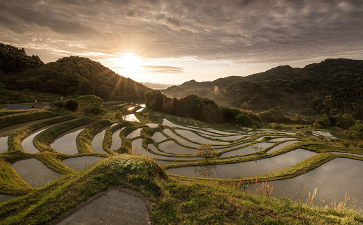 静かな里山の中、鳥のさえずりが響く「大山千枚田」はまさに日本の原風景。