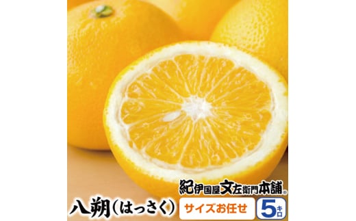 八朔(はっさく)約5kg サイズおまかせ　紀伊国屋文左衛門本舗※2025年1月下旬～4月上旬頃発送予定【sutb410A】 1525328 - 和歌山県すさみ町