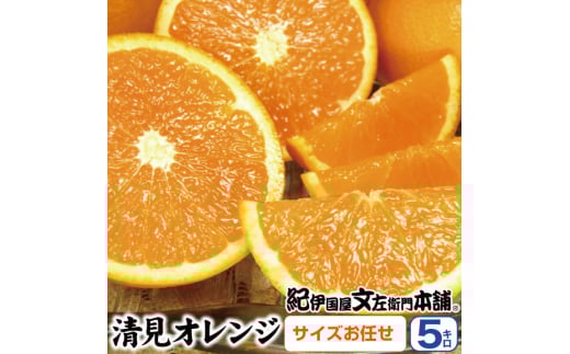 清見オレンジ約5kg/果実サイズおまかせ※2026年2月中旬～2026年4月下旬頃発送予定  / みかん 果物 くだもの フルーツ オレンジ 紀伊国屋文左衛門本舗【sutb400B】 1525326 - 和歌山県すさみ町