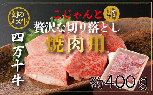 R5-530．幻のメス牛　四万十牛こじゃんと贅沢な切り落とし（焼肉用・400ｇ）