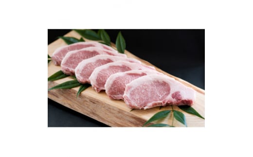 三浦豚 豚肉 ステーキ 900g とんかつ　ブランド豚【1305024】