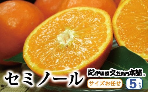 セミノールオレンジ 約5kg/サイズおまかせ　※2025年4月中旬～5月下旬頃に順次発送予定(お届け日指定不可)　紀伊国屋文左衛門本舗【sutb481A】 1525343 - 和歌山県すさみ町