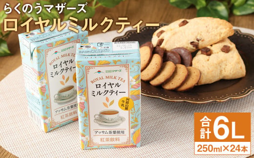 ロイヤルミルクティー 250ml×24本 牛乳 紅茶 990073 - 熊本県菊池市