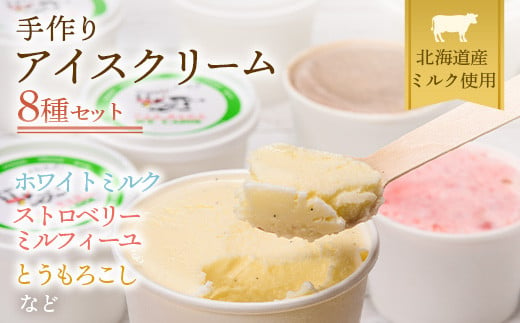 北海道産 南幌町 手作りアイスクリーム 120ml×8個セット (おまかせ詰め合わせ) NP1-292