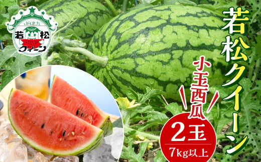 北九州市産 若松クイーン (小玉西瓜) 2玉 (7kg以上) すいか スイカ フルーツ