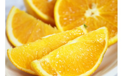 [国産]希少バレンシアオレンジ 5kg ※2025年6月下旬頃〜2025年7月上旬頃順次発送予定 / オレンジ みかん 柑橘 果実 果物 バレンシア[uot711]