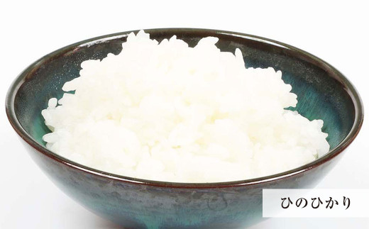 鹿児島県産ひのひかり 6kg(2kg×3)・3種の炊き込みご飯の素 セット