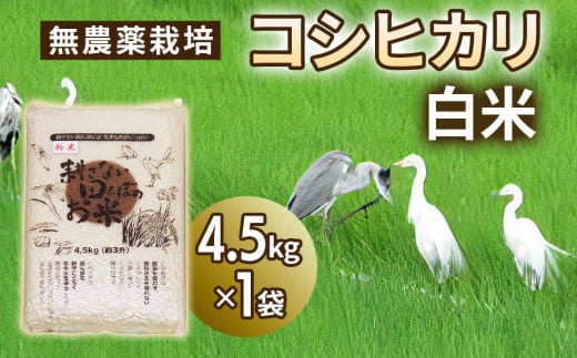 無農薬栽培 コシヒカリ 白米 4.5kg 【令和5年度米】  [0345]
