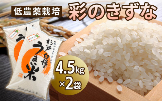 低農薬栽培の彩のきずな4.5kg×2袋 【令和5年度米】 [0286] 245976 - 埼玉県杉戸町