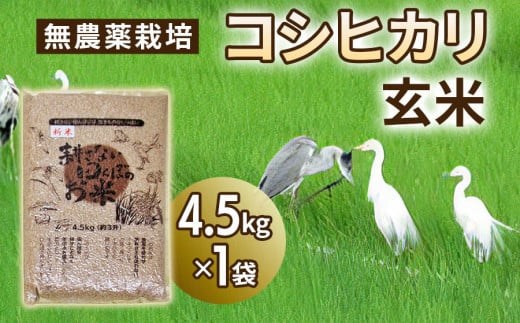 無農薬栽培 コシヒカリ 玄米 4.5kg 【令和5年度米】 [0346]