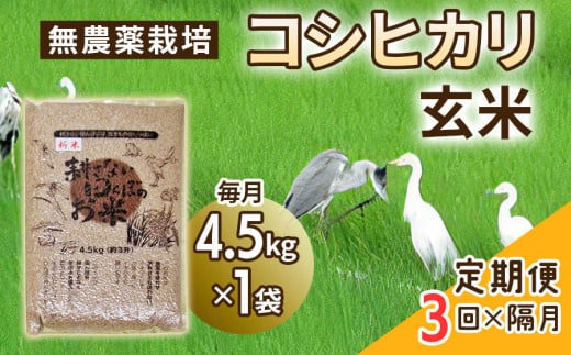 [定期便] (隔月×3回お届け) 無農薬栽培 コシヒカリ 玄米 4.5kg 【令和5年度米】 [0348]