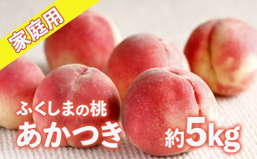 No.2155福島のもも　家庭用 あかつき　約5kg【2025年 先行予約】 362766 - 福島県福島市