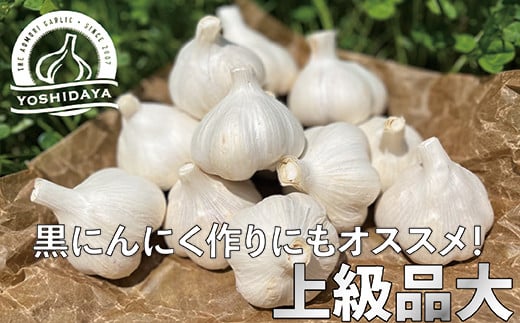【2025年産】にんにくのよしだ家 青森県産 にんにく 大サイズ 800g 福地ホワイト種 にんにく 青森県 にんにく 三戸町 H2909 2250105 - 青森県三戸町