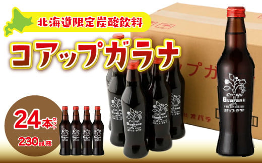 コアップガラナ24本セット（230ml瓶） NAQ004 / 北海道七飯町 | セゾン
