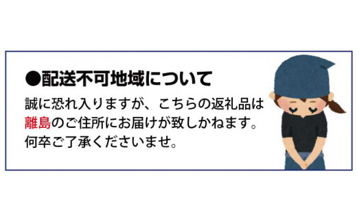 ご家庭用】紀州有田産 不知火(しらぬひ) 約8.5kg 【予約】 訳あり