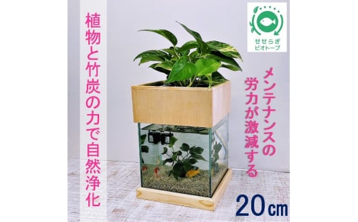 水槽セット ろ過 ポンプ 植物 癒し 水替え不要20cm 型基本+木枠台セット 780531 - 広島県東広島市