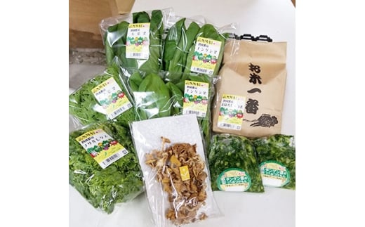四條畷産・大阪産(おおさかもん)野菜4〜6品目とお米3kgの詰め合わせ