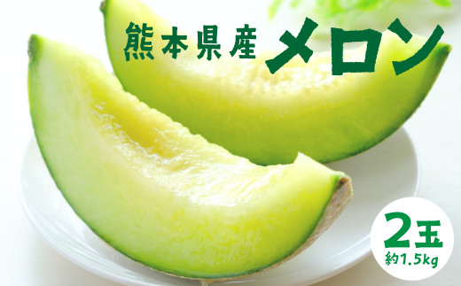 熊本県産 メロン 合計約3kg（約1.5kg×2玉） 高級 肥後グリーンメロン