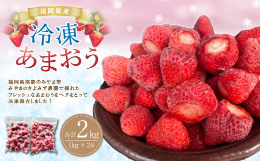福岡県産 冷凍あまおう 2kg (1kg×2袋) いちご 冷凍フルーツ