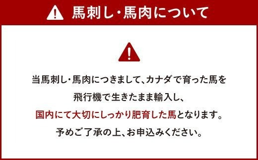 【先行予約】カナダ産 赤身 馬刺し セット 計650g たてがみ 馬刺し用 醤油付き 馬肉