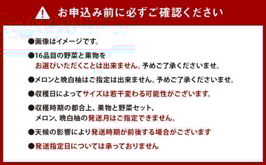 【定期便6回】 季節の果物と野菜セット 16品目