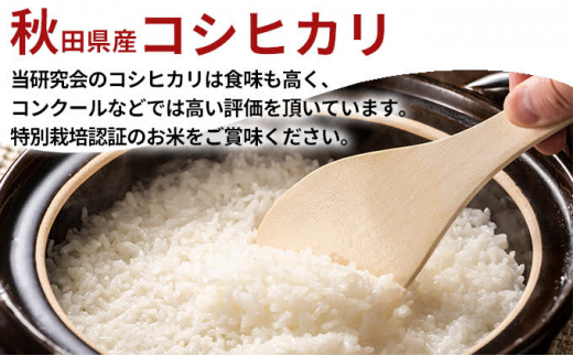 令和4年産 新米 11月から発送 鰰米 コシヒカリ にかほ 精米 10kg（5kg